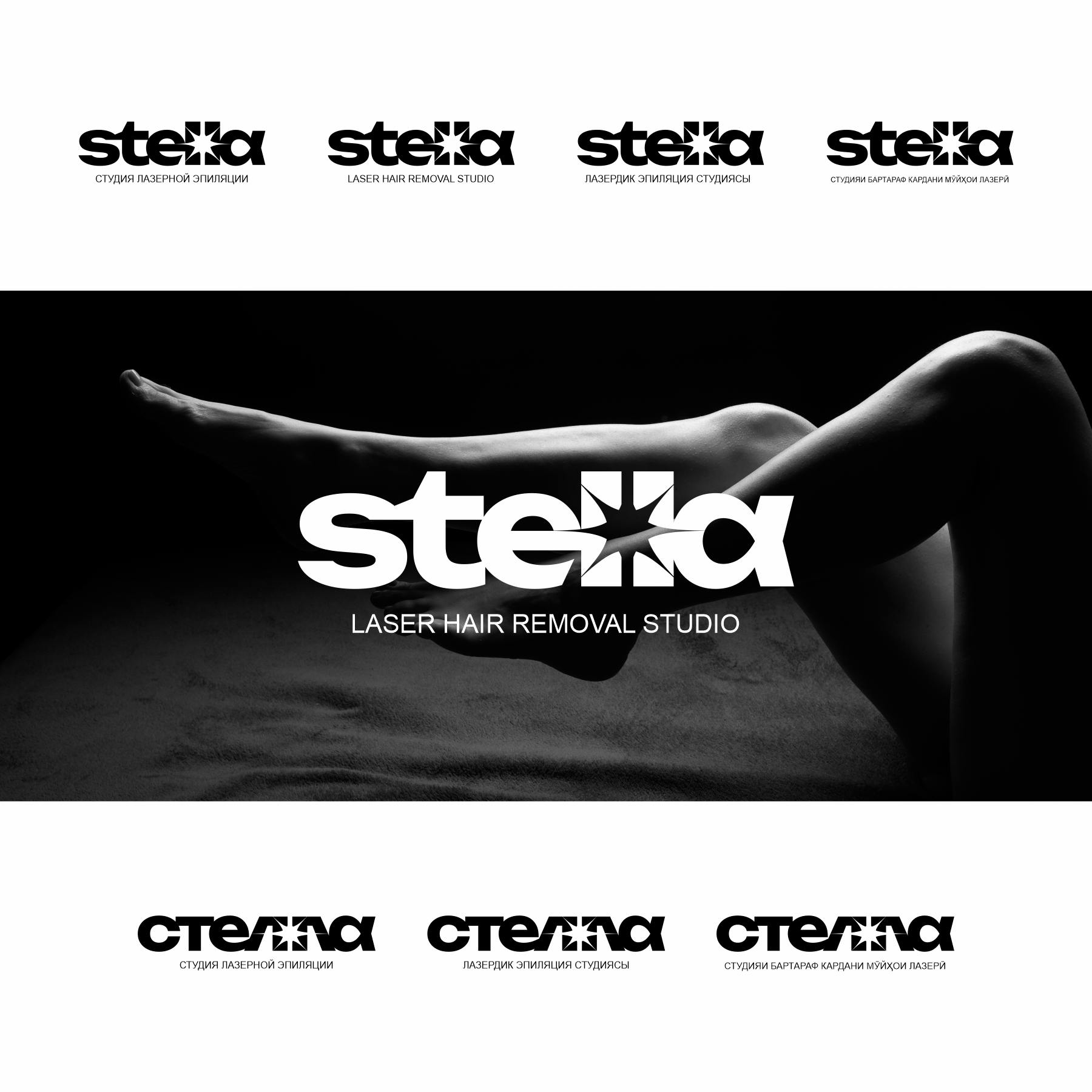 STELLA: от брифа до логотипа за рекордные сроки. Кейс по программе «Экспресс-дизайн»